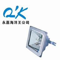 NFC9100-J150NFC9100-J150海洋王